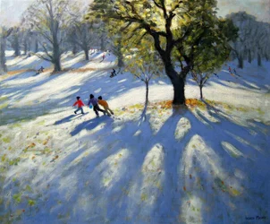 Markeaton Park, ranní sníh